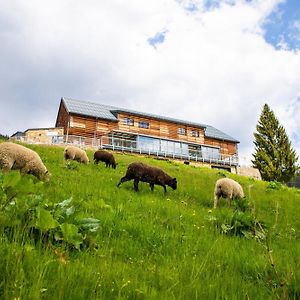 Amenity Hotel&Resort Špindlerův Mlýn