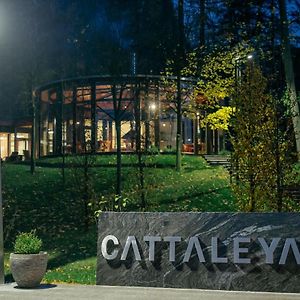 Resort Cattaleya